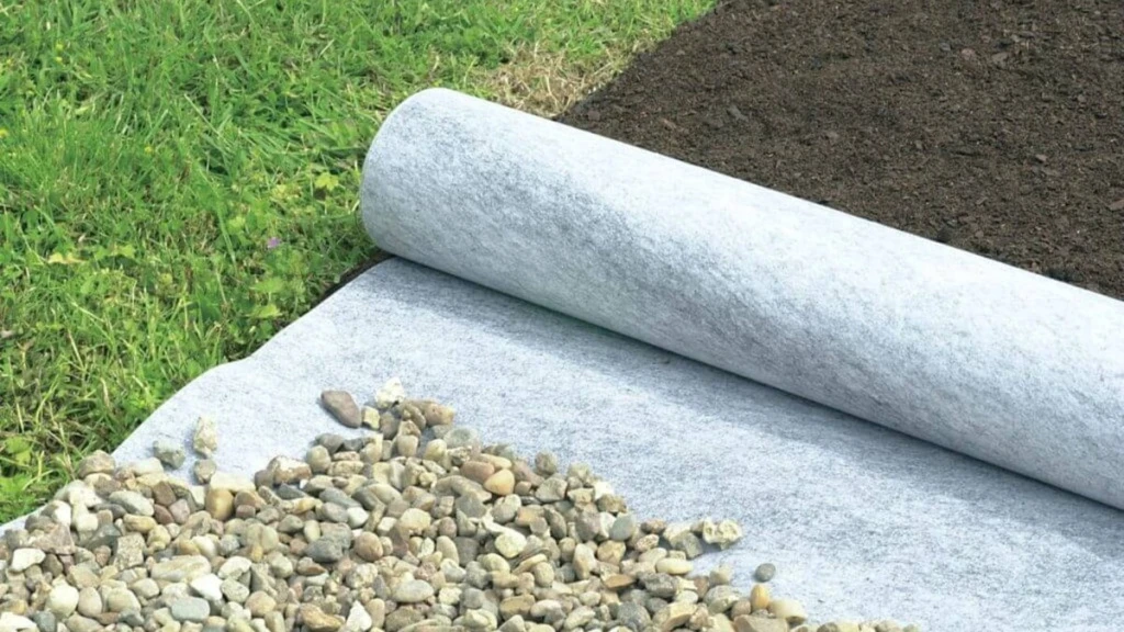 scale_1200 (2).jpg scale_1200 (2).jpg