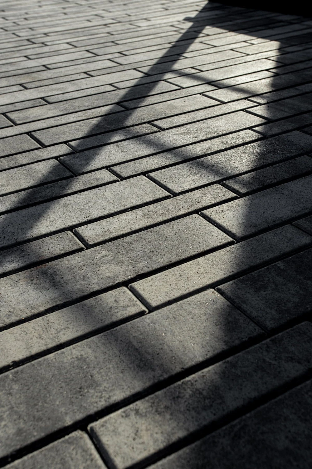 Ландшафтный дизайн в Тюмени с плиткой Ригель, Трио, 300х900 мм