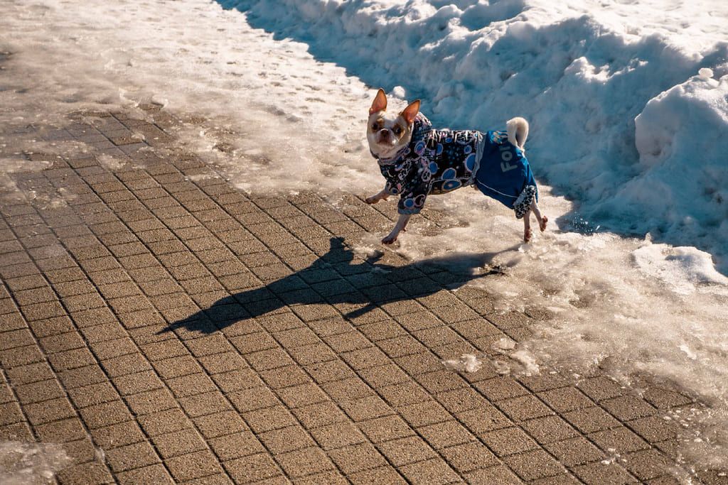 porevitplitka (5).jpg