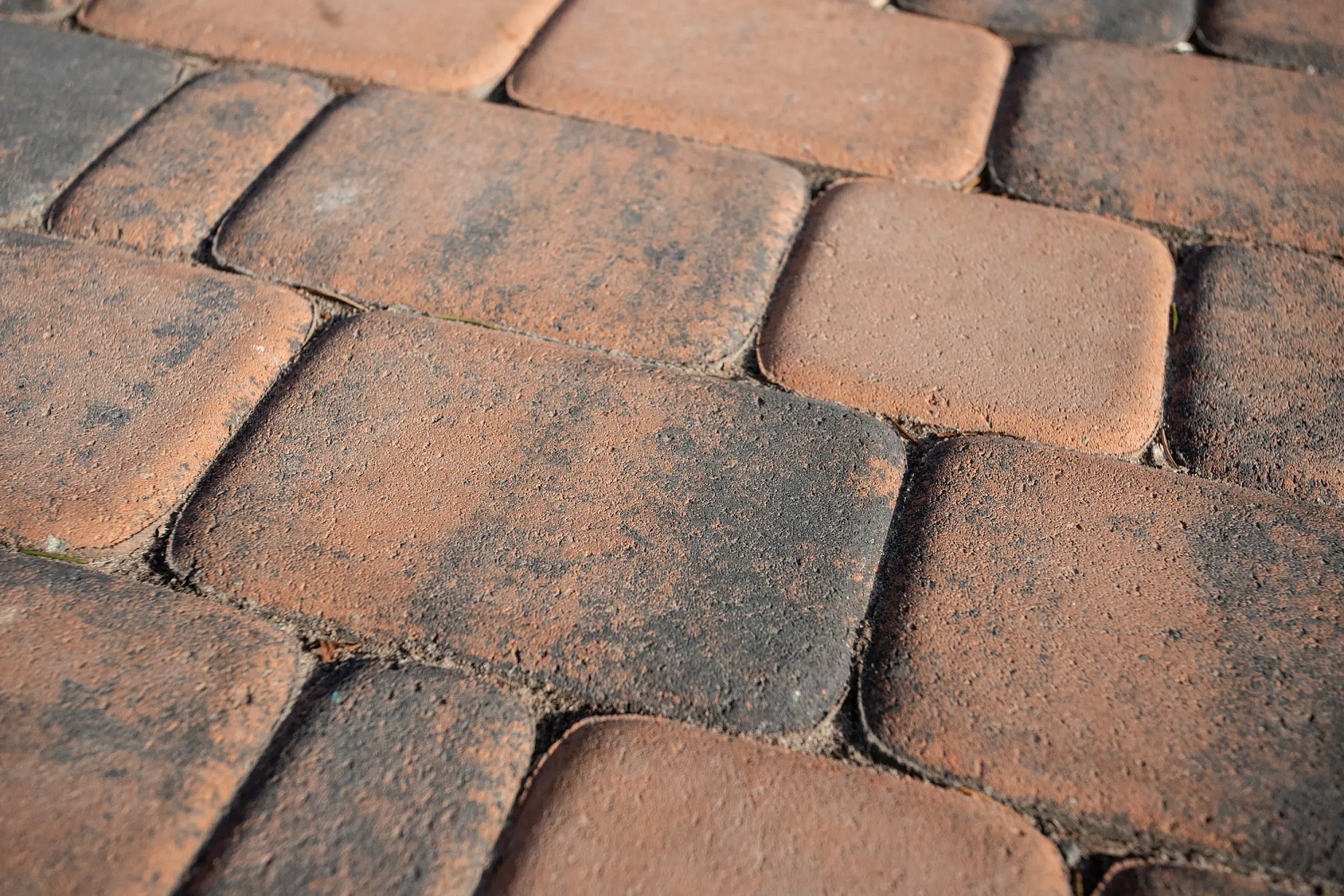 Сквер Радужный в Тюмени