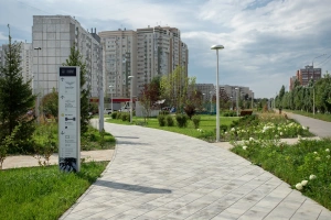 Купите прямоугольную тротуарную плитку от производителя «Выбор»