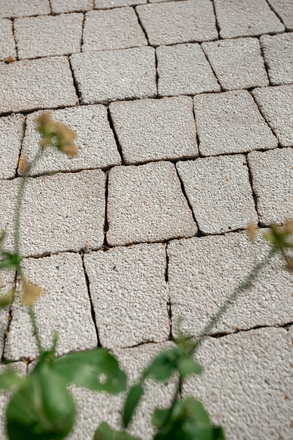 Сквер Медицинских работников в Тюмени